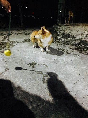image.jpg