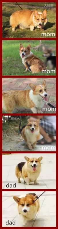 bentley &amp; Charles 合集.jpg