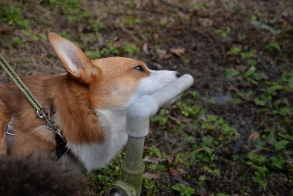 DSC_5139.JPG