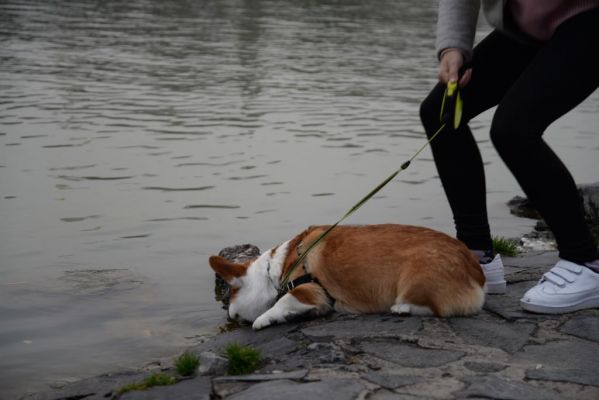DSC_5209.JPG