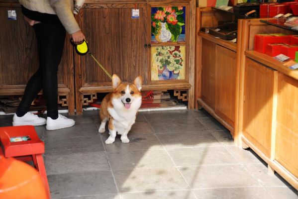 DSC_5296.JPG