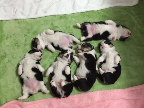 IMG_20160108_16114937.JPG
