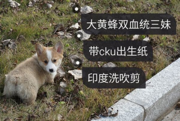 1452059229488_share_看图王.jpg