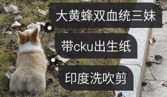 1452059249930_share_看图王.jpg