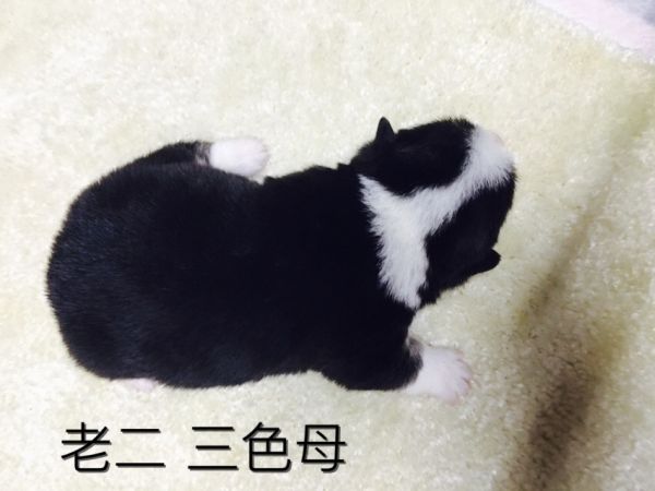 IMG_3093_副本.jpg