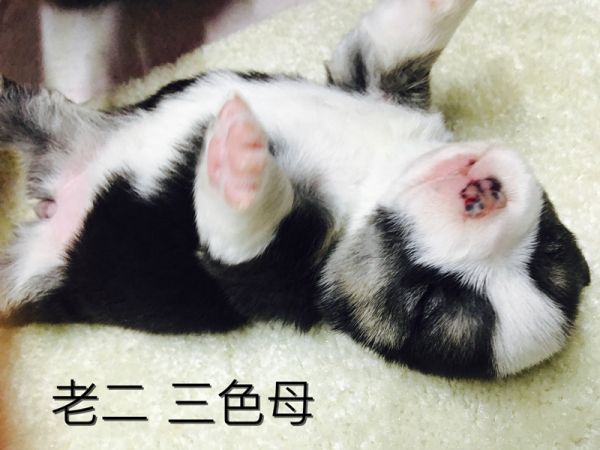 IMG_3095_副本.jpg