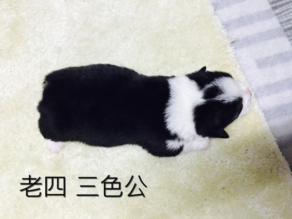 IMG_3091_副本.jpg