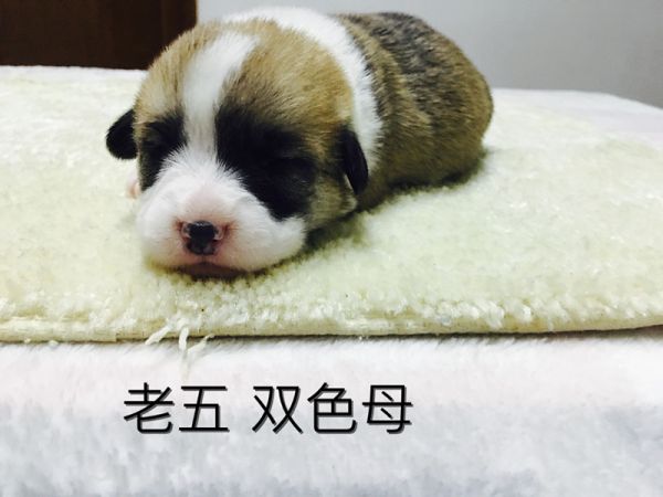 IMG_3101_副本.jpg
