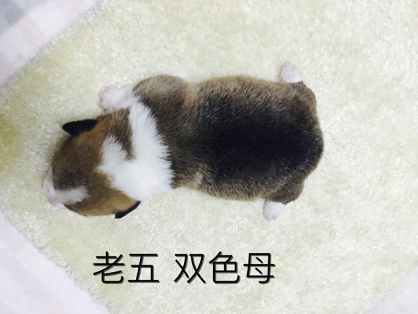IMG_3100_副本.jpg