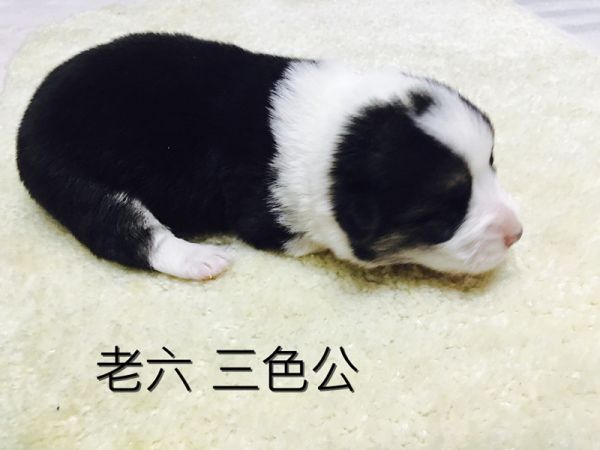 IMG_3105_副本.jpg