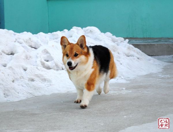 DSC_0015_副本_副本.jpg