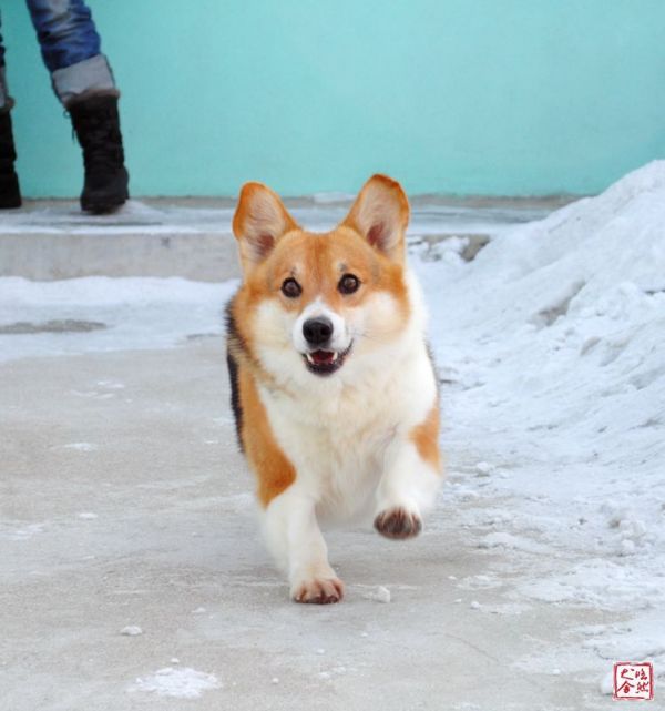 DSC_0030_副本_副本.jpg