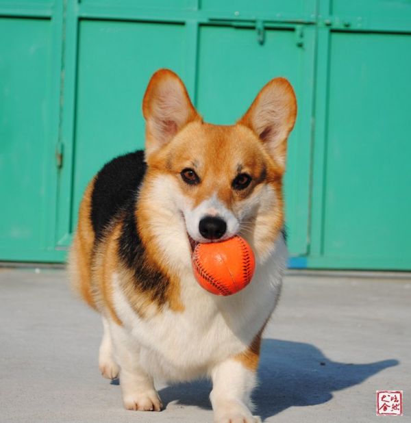 DSC_0044_副本_副本.jpg
