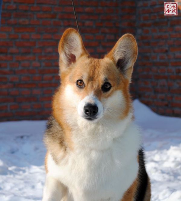 DSC_0077_副本_副本.jpg