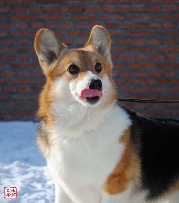 DSC_0088_副本_副本.jpg
