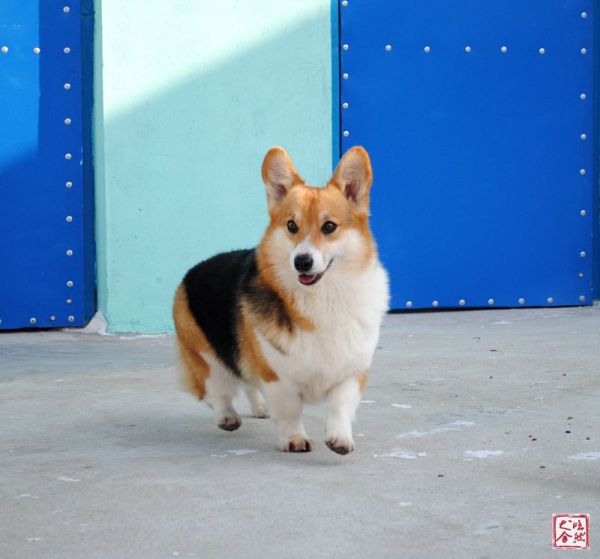 DSC_0110_副本_副本.jpg