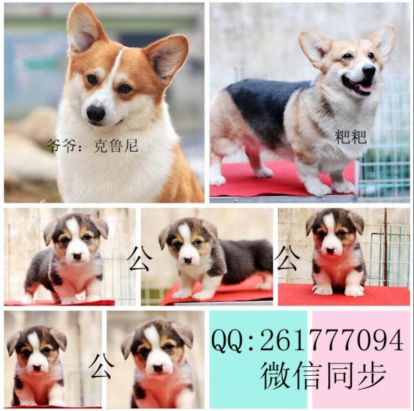 QQ图片20160302172651.jpg