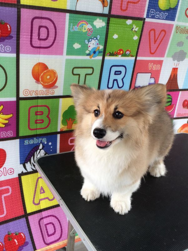 CO&amp;MOYE20151102 4月龄 4M-19.jpg