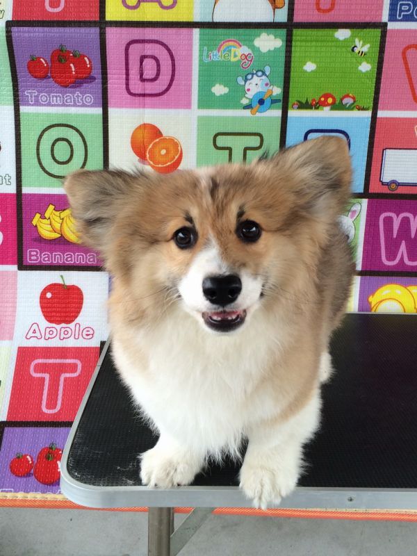 CO&amp;MOYE20151102 4月龄 4M-21.jpg