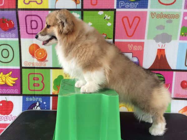 CO&amp;MOYE20151102 4月龄 4M-38.jpg