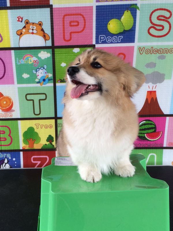 CO&amp;MOYE20151102 4月龄 4M-43.jpg