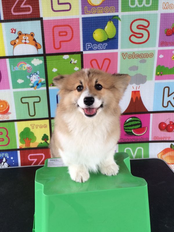 CO&amp;MOYE20151102 4月龄 4M-53.jpg