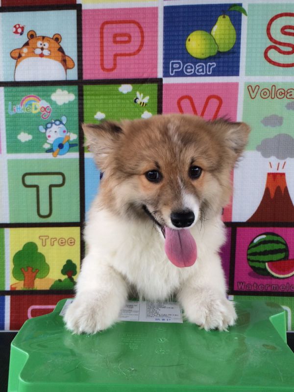 CO&amp;MOYE20151102 4月龄 2D-56.jpg