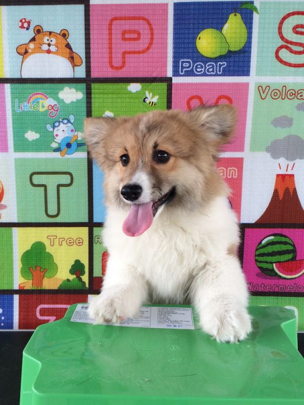 CO&amp;MOYE20151102 4月龄 2D-57.jpg