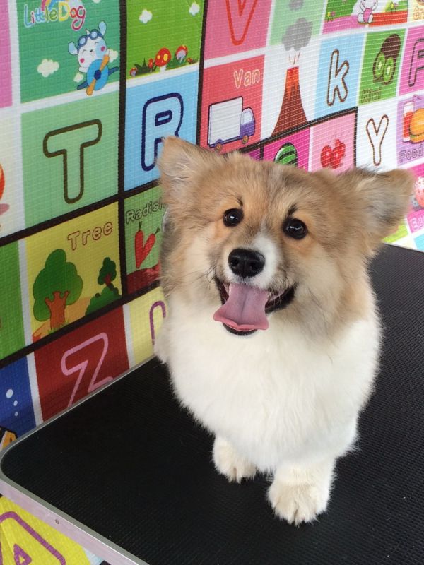 CO&amp;MOYE20151102 4月龄 2D-10.jpg