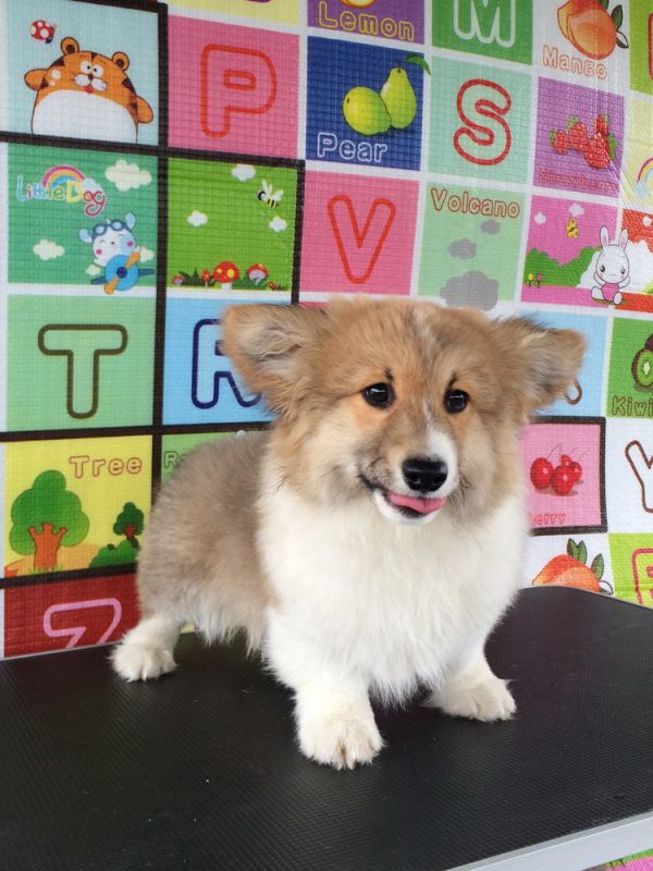 CO&amp;MOYE20151102 4月龄 2D-13.jpg