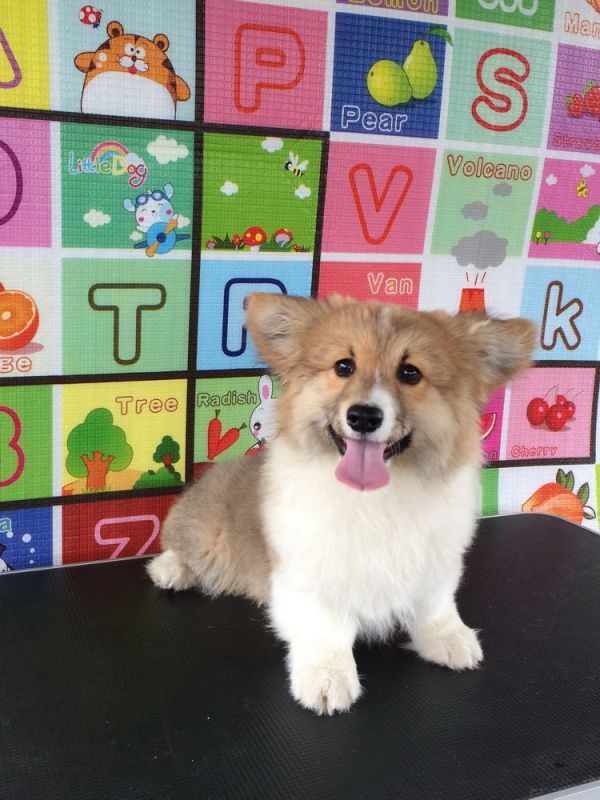 CO&amp;MOYE20151102 4月龄 2D-17.jpg