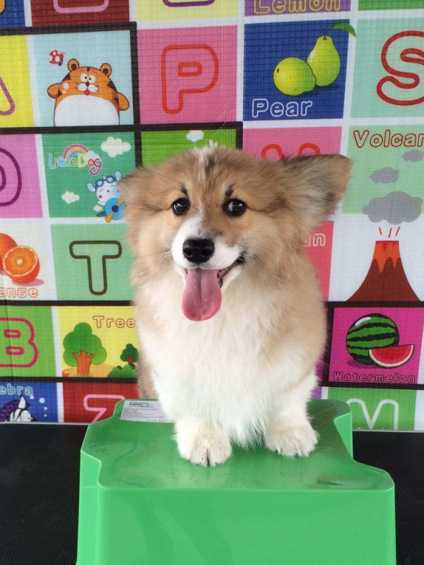 CO&amp;MOYE20151102 4月龄 4M-50.jpg