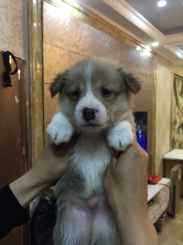 818030100020796015.jpg