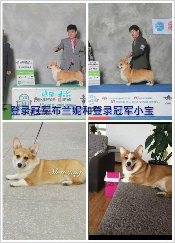 QQ图片20160313155522.jpg