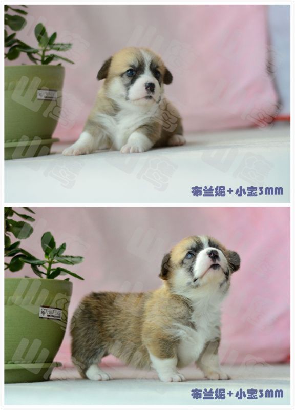 QQ图片20160313154714.jpg