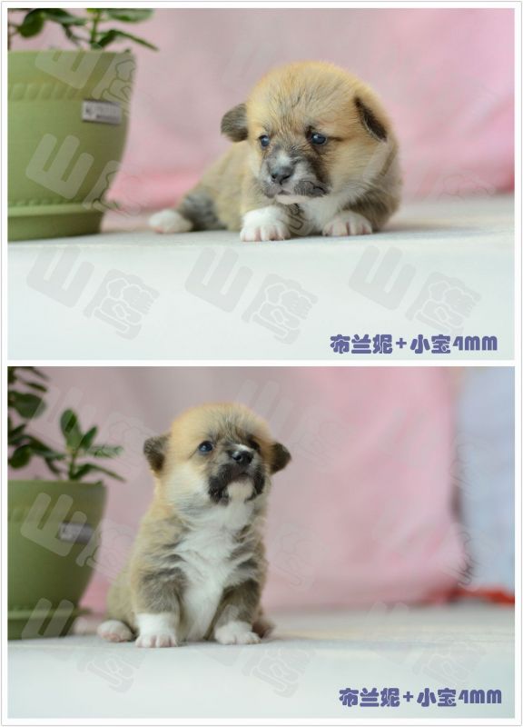 QQ图片20160313154735.jpg