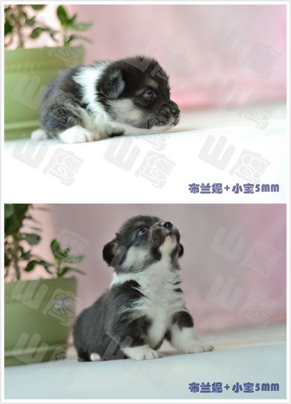 QQ图片20160313154741.jpg