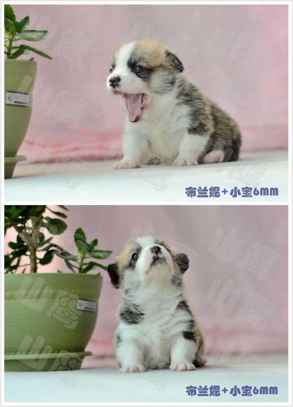 QQ图片20160313154748.jpg