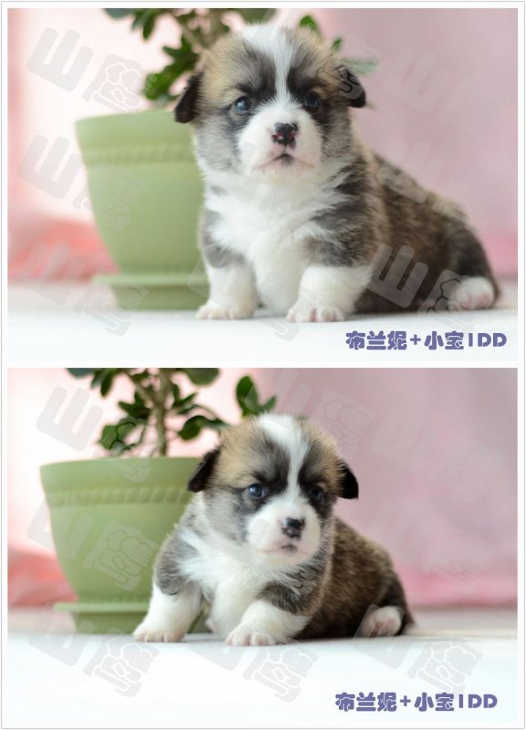 QQ图片20160313154754.jpg