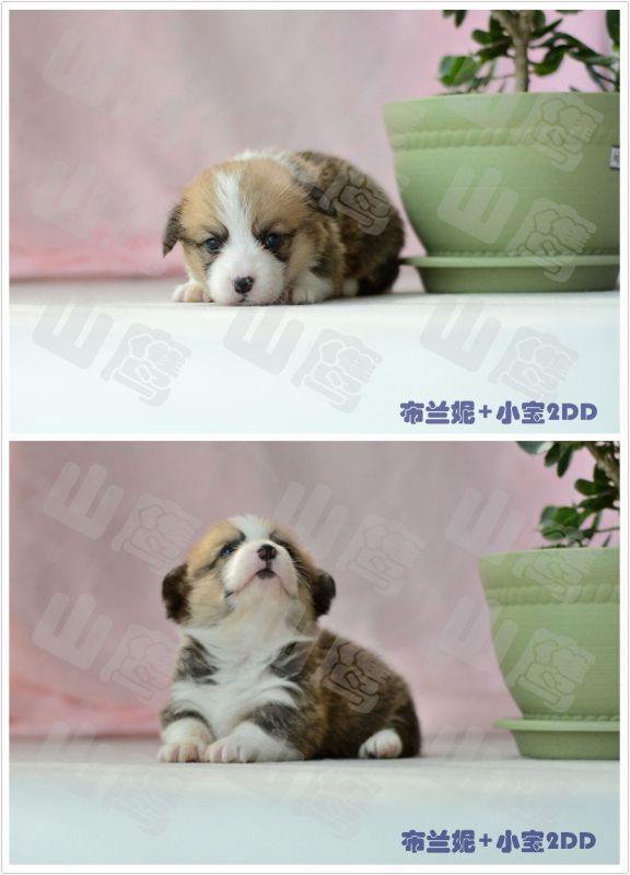 QQ图片20160313154801.jpg