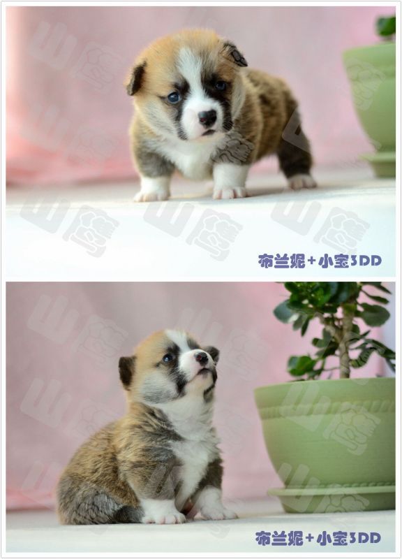 QQ图片20160313154808.jpg