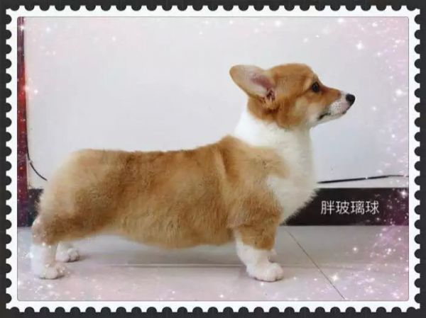 玻璃球.jpg
