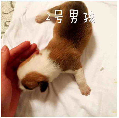 1((PV`@`FK7W}@7()UA@HB3.png