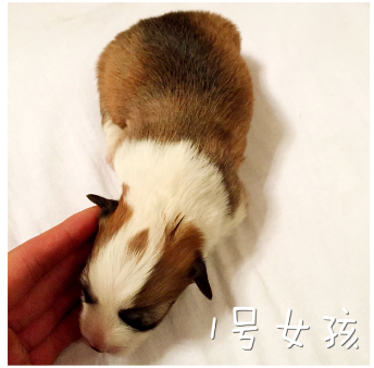 9XF8C(8ILWR4O$XY)O}(N92.png