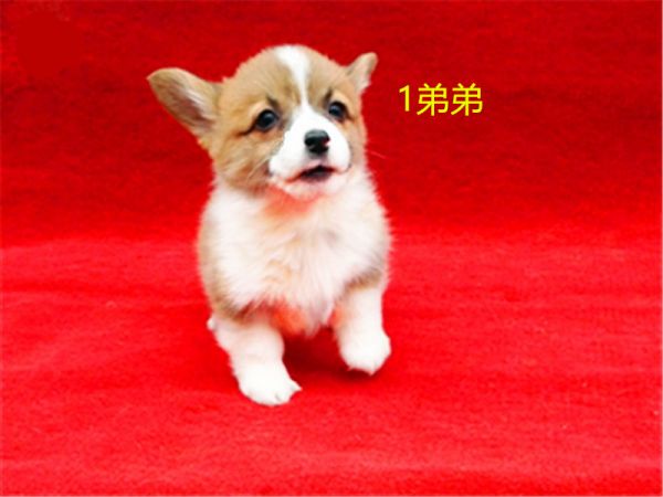 新建文件夹 (7)IMG_20160317_155628.jpg