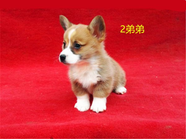 新建文件夹 (7)IMG_20160317_160652.jpg