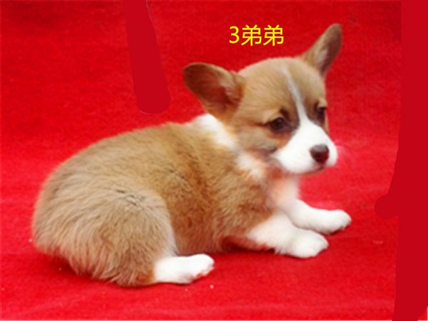 新建文件夹 (7)IMG_20160317_161838.jpg