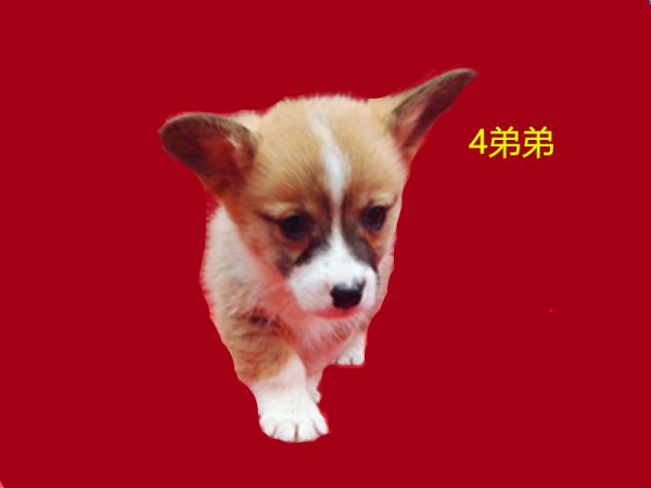 新建文件夹 (7)IMG_20160317_163325.jpg