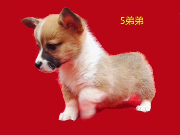 新建文件夹 (7)IMG_20160317_163401.jpg