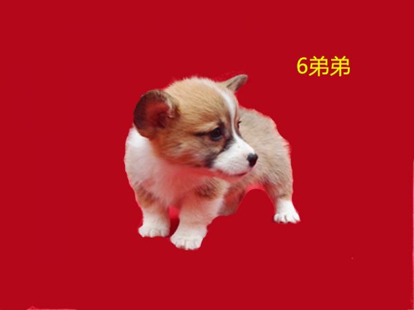 新建文件夹 (7)IMG_20160317_163510.jpg